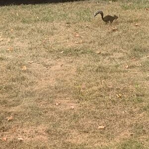 Meet your Posher, Pam